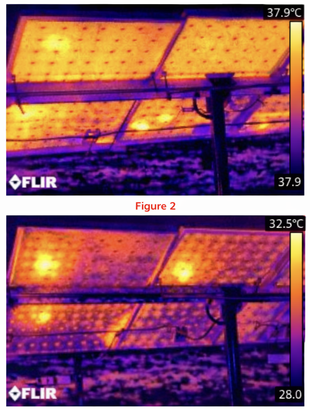 サーモグラフィ画像1